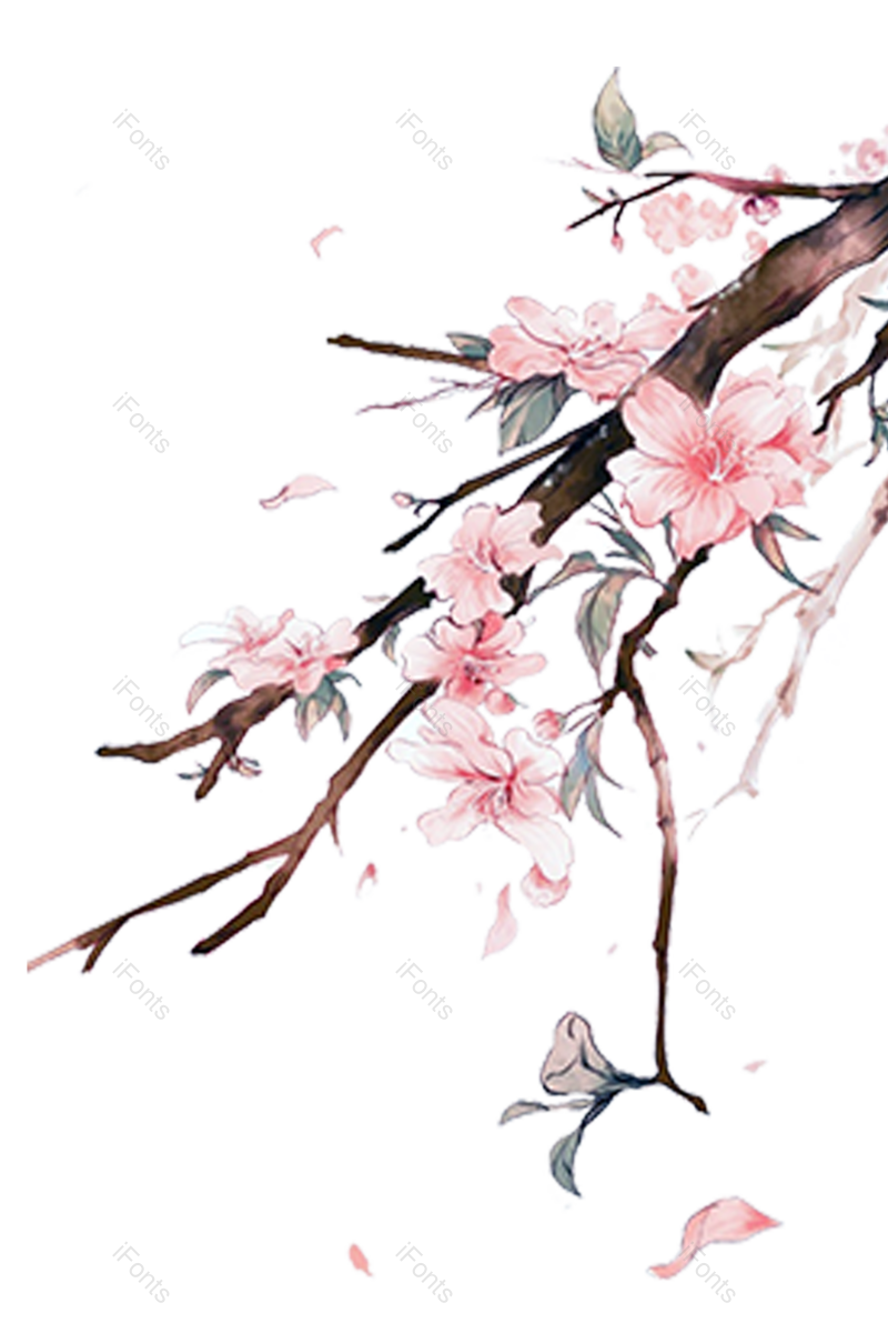中国风图片,插画元素,花卉PNG,花朵免抠素材